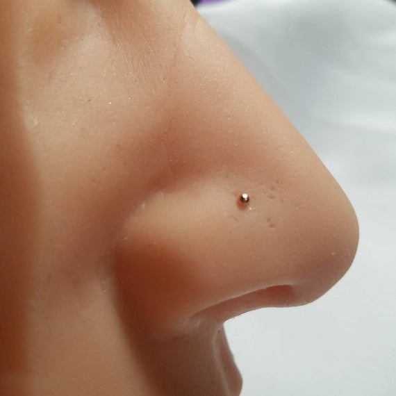 Gold dot clearance nose pin